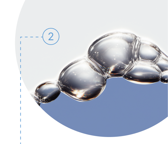 Ceramides