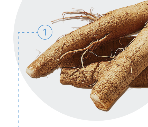 Ginseng