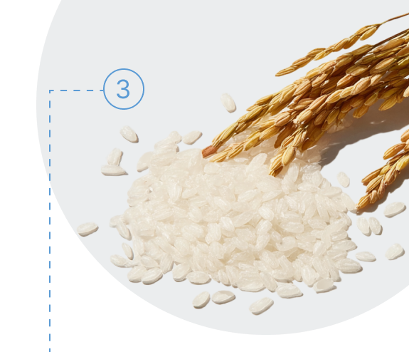Rice extract